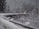 snow pics 027.jpg