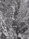 snow pics 032.jpg