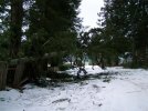 storm08-3.jpg