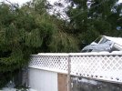 storm08-5.jpg