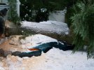 storm08-8.jpg