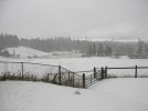 snow pic 12-08.jpg