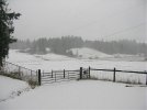 snow pic 12-08 1.jpg