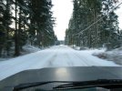 snow pic 12-08 2.jpg