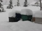 garbage bins xmas day.JPG