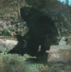 bigfoot.jpg