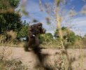 2-sasquatch_winner.jpg