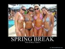 633774939244406300-springbreak.jpg