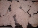 2011-12-14 17.22.32.jpg