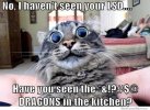 cat.jpg