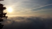 tmp_20131019_081811970946841.jpg