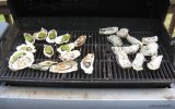 IMG_0516.jpg