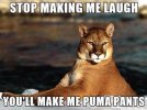 ImageUploadedByTapatalk1392175749.989769.jpg