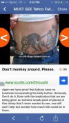 ImageUploadedByTapatalk1393351422.616060.jpg