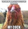 ImageUploadedByTapatalk1393351490.767773.jpg