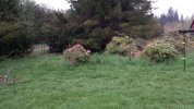 20140417_172311.jpg