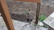 20140501_190838.jpg