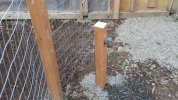 20140501_190930.jpg