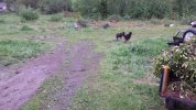 20140503_175600.jpg