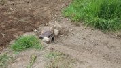 20140517_131836.jpg