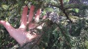 0507141203.jpg