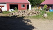 20140602_105245.jpg