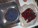 7-14-harvest.jpg