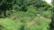 20140817_134519.jpg