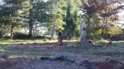20140913_165954.jpg