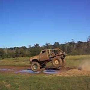 buddy in the air.jpg