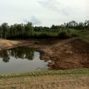 MUDD POND.jpg