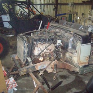 sammy for sale 001.JPG