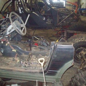 sammy for sale 003.JPG