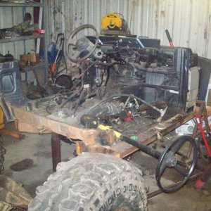 sammy for sale 004.JPG