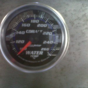 phone pix 412 004.jpg