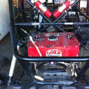 rear of buggy.jpg