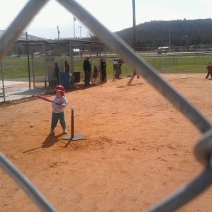 tball2.jpg