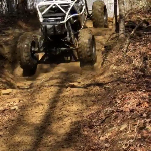 received_461603748111446.mp4