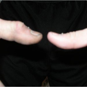 chads trucks 410 small.jpg