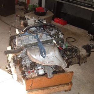 motor & tranny.JPG