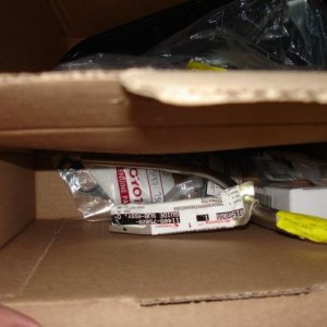 DSC01386 (Small).JPG