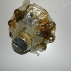 DSC01389 (Small).JPG