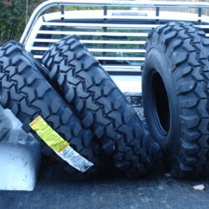 DSC01454 (Small).JPG