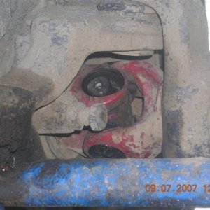 DSCN1822 (Small).JPG