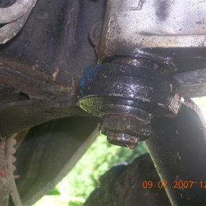 DSCN1826 (Small).JPG