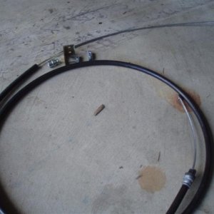 P1010304 (Small).JPG