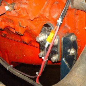 more stomper 007.jpg