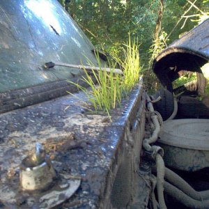 Elbe hills 06 001.jpg