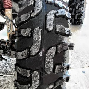 Cutted Thornturd.jpg