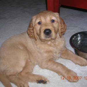 DSCN1982 (Small).JPG